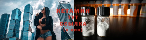 стаф Новокубанск