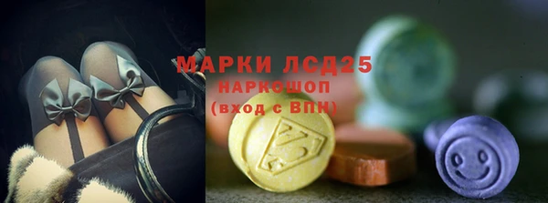гашик Медвежьегорск