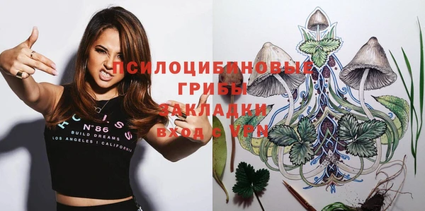 гашик Медвежьегорск