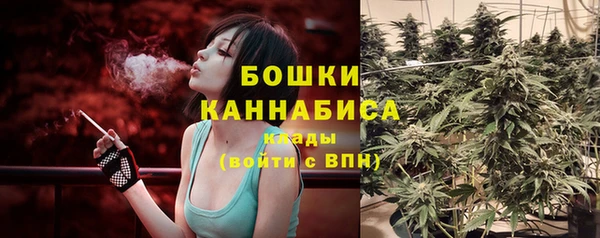 гашик Медвежьегорск