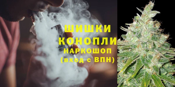 тгк Мегион