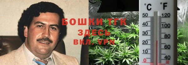гашик Медвежьегорск
