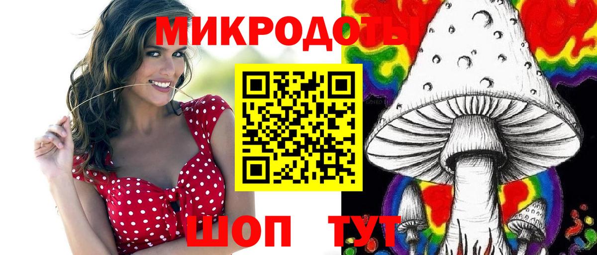 A-PVP Черкесск