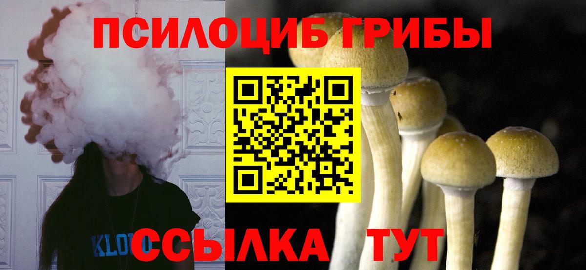 Псилоцибиновые грибы ЛСД  Вход с VPN  Черкесск 