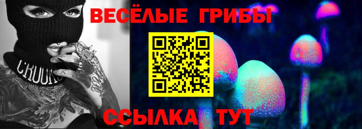 Галлюциногенные грибы Magic Shrooms Черкесск