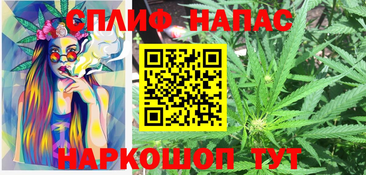 Бошки Шишки конопля  Вход с VPN  Черкесск  Марихуана сатива 